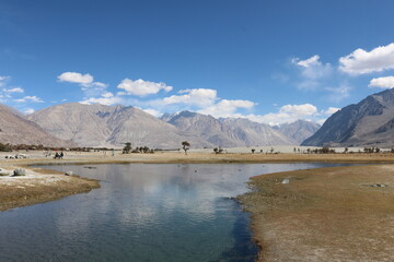 Hunder Sand Dunes in Nubra Valley, Ladakh, India