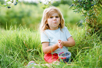 Fototapeta premium Little preschool girl picking fresh berries on blueberry field. Toddler child pick blue berry on organic orchard farm. Toddler farming. Preschooler gardening. Summer family fun. Healthy bio food.
