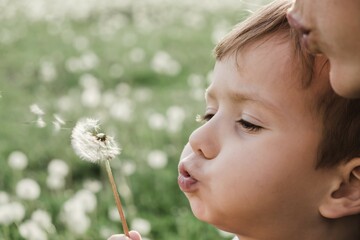 dandelion nature child little cute. people small.