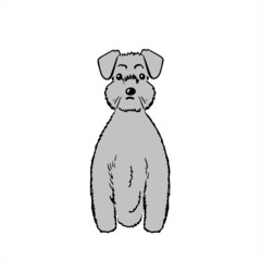 Schnauzer シュナウザー