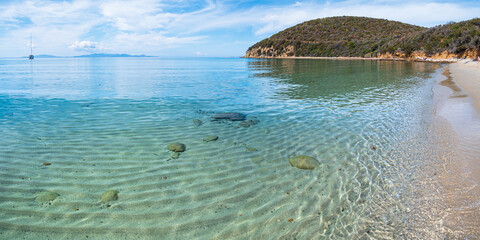 Empty beach at Cala Violina, Tuscany, Italy. Sand bay in natural park dramatic coast rocky headland and pine forest mediterranean sea turquoise transparent water