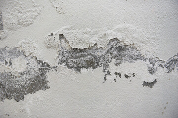 Empty old wall texture background, Painted distressed wall surface, Grunge shabby building facade...