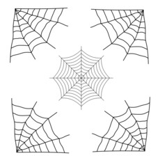spider web