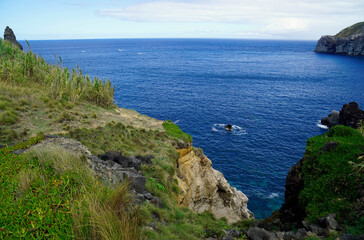 Fototapeta na wymiar natural green scenery on the azores islands