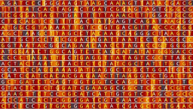 Loopable: Genetic mapping DNA sequence analysis abstract background with changing DNA components A, T, G, C. Genomic data analysis concept.