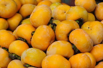 Harvest persimmon fruits in autumn