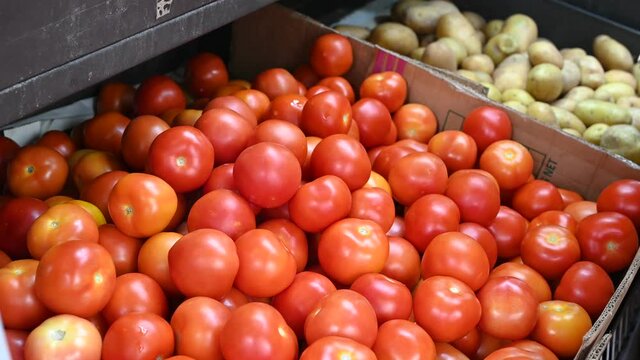 Tomatoes is one of the favorite vegetables among the local and it can be easily found in the fresh market.