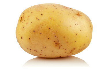 potato on a white background