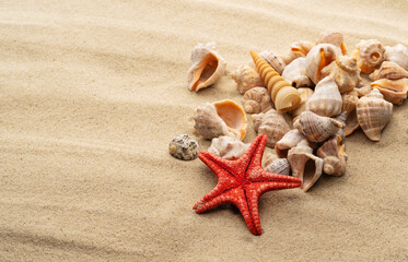 Fototapeta na wymiar Seashells on a background of sand with a starfish, beach island