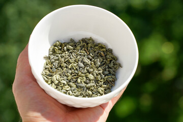 Green Chinese tea in a white bowl. Selection, types and varieties of green dried tea