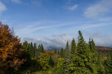 Z Korbani w Bieszczadach 