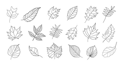 Set of autumn doodle leaves vector.  Hand drawn Leaf line arts.