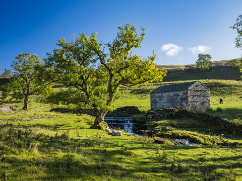 Yorkshire Beck