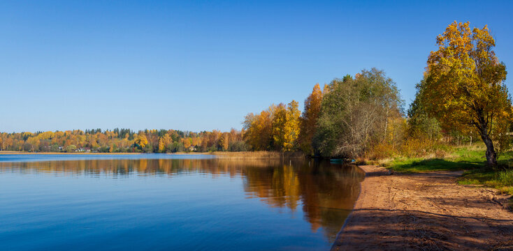 Autumn trees and sandy lake shore over blue sky