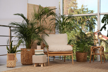 Fototapeta na wymiar Stylish room interior with comfortable armchair and different exotic houseplants