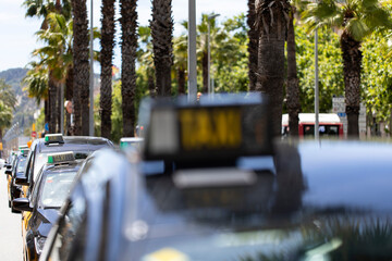Group of taxi cabs in Barcelona