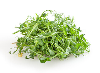 Fresh microgreens of pea isolated on white background