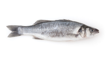 Fresh uncooked sea bass isolated on white background