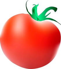 tomato on a white background food, tomato, fruit, vegetable, illustration, red, leaf, fresh, healthy, vector, ripe, juicy, green, nature, diet, heart, health, icon, art, salad, eat, organic