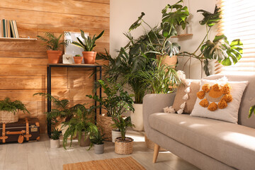 Stylish room with beautiful plants and wooden wall. Interior design