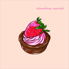 Chocolate cupcake with strawberry wipping cream filling with fresh strawberry on top vector illustration. Cupcake isolated on the pink background with pink letters. Delicios baked cupcake.