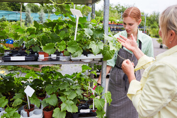 Florist as a saleswoman and customer in the garden center