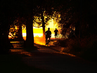 Bike ride on dirt road with rising dust during sunset, only silhouettes visible