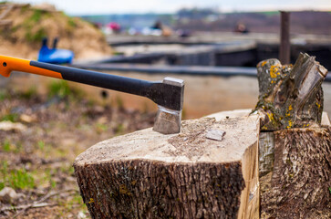 Photo of an ax stuck in a tree stump on the street in the village