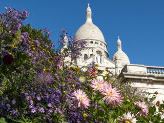 Sacre Coeur in Paris, im Vordergrund schöne Blumen, blauer Himmel