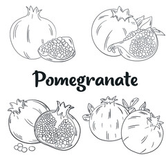 Hand-drawn pomegranate, black lines on a white background. Vector illustration.