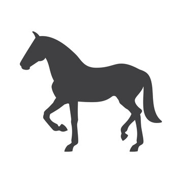 Vector silhouette of a horse. Isolated on white background