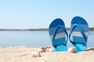 Stylish flip flops and seashells on sandy beach, space for text