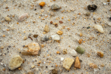 Pebbles with a variety of shapes and colors interlaced with beach sand
