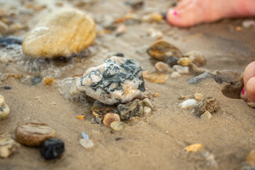 Igneous roack freshly rinsed by the surf