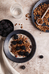 Chocolate granola with almond milk and blackberry.