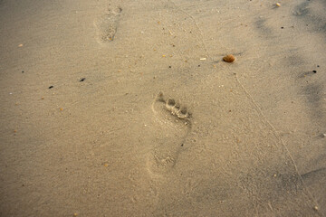 Footprint on a wet sand beach