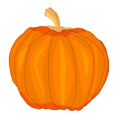 Pumpkin isolated on white background. Orange squash colored icon. Halloween holiday or thanksgiving day symbol. Ripe gourd for autumn harvest festival sign. Garden vegetable. Stock vector illustration