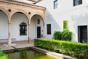 A patio with water basin and green plants in the famous Alcazar (meaning: fortress) in Seville, Andalusia, Spain, a typical expression of ancient arab architecture.