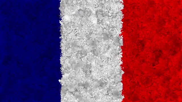 Colorful animation of the flag of France, gradually emerging from a moving swirling cloud consisting of many colorful small particles. The particles move, rotate, forming the national flag of France.