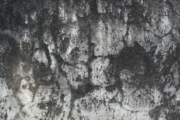 gray vintage wall design for retro wall background for old decoration