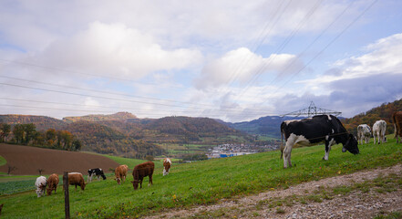 landscape in the mountains in Switzerland