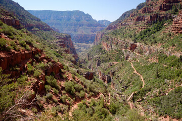 View down hiking trail switchbacks descending into a canyon on a summer day. North Kaibab trail,...