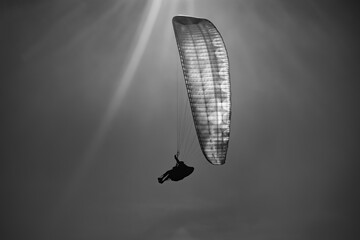 Paragleiter Gleitschirm Fallschirm Graustufen schwarz weiß Madeira Praglider Sport Meer Himmel Fliegen Kontrast Pilot Silhouette Sonne Thermik Aufwind Auftrieb Gegenlicht Hülle transparenz - obrazy, fototapety, plakaty