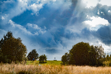 landscape with trees and disc golf basket