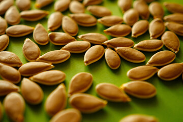 pumpkin cashew on green background
