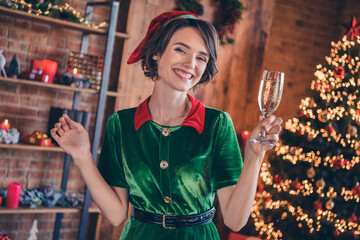 Photo of shiny sweet young woman dressed green costume smiling celebrating new year drinking champagne indoors room home house