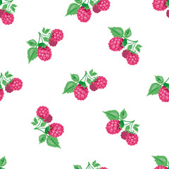 Seamless background with raspberry and leaves. Seamless vector pattern.