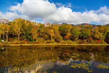 志賀高原木戸池に映る紅葉