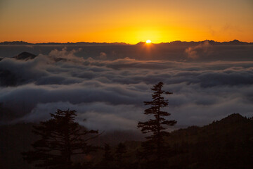 渋峠から雲海に昇る朝日