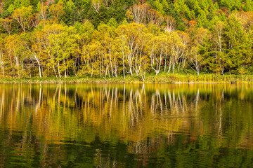 志賀高原木戸池に映る紅葉